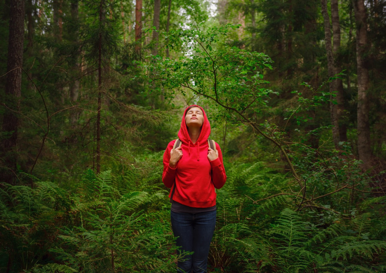 Friluftsliv: The Evidence-Based Prescription for Modern Wellbeing (Part 1)